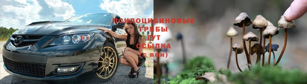 мяу мяу мука Алзамай